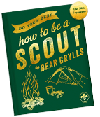 how to be a scout